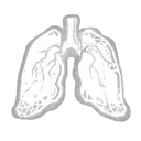 Deer Lung
