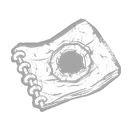 Ring Drawing
